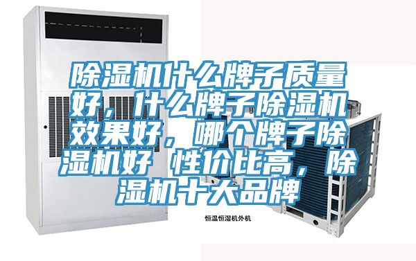 除濕機(jī)什么牌子質(zhì)量好，什么牌子除濕機(jī)效果好，哪個(gè)牌子除濕機(jī)好 性價(jià)比高，除濕機(jī)十大品牌