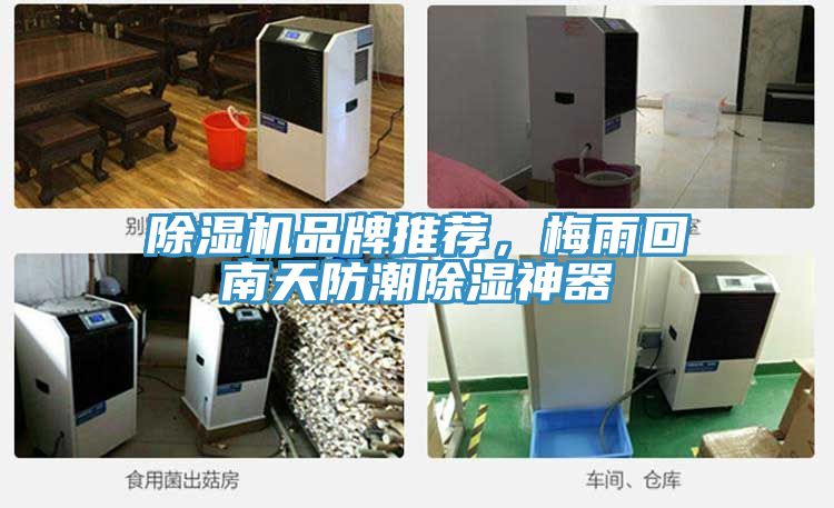 除濕機(jī)品牌推薦，梅雨回南天防潮除濕神器