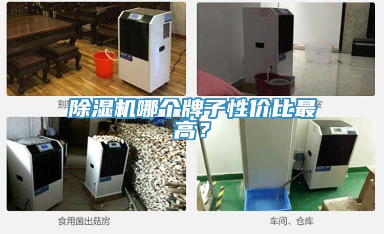 除濕機哪個牌子性價比最高？
