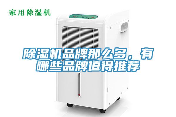 除濕機(jī)品牌那么多，有哪些品牌值得推薦