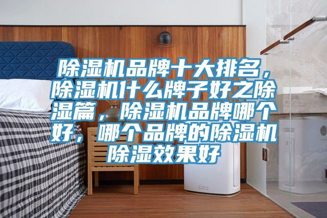 除濕機品牌十大排名，除濕機什么牌子好之除濕篇，除濕機品牌哪個好，哪個品牌的除濕機除濕效果好