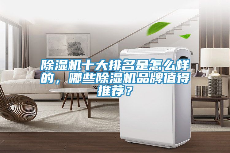 除濕機(jī)十大排名是怎么樣的，哪些除濕機(jī)品牌值得推薦？