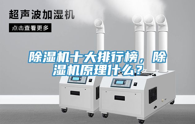 除濕機十大排行榜，除濕機原理什么？