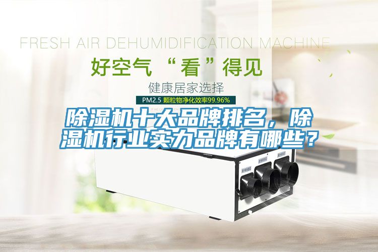 除濕機(jī)十大品牌排名，除濕機(jī)行業(yè)實(shí)力品牌有哪些？