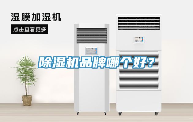 除濕機品牌哪個好？
