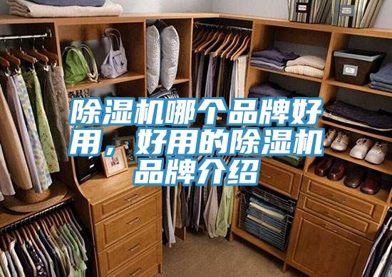 除濕機哪個品牌好用，好用的除濕機品牌介紹