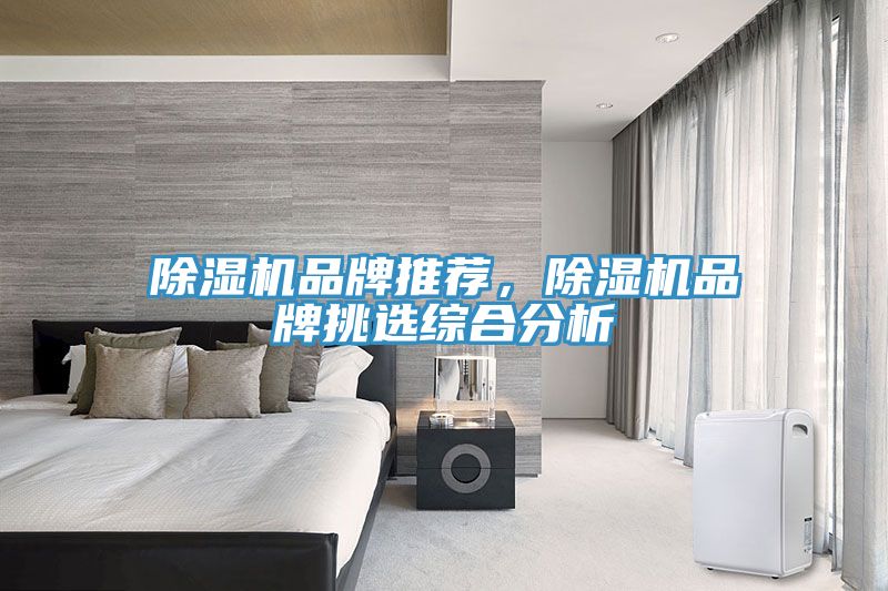 除濕機(jī)品牌推薦，除濕機(jī)品牌挑選綜合分析