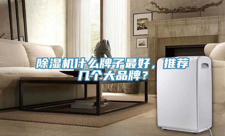 除濕機什么牌子最好，推薦幾個大品牌？