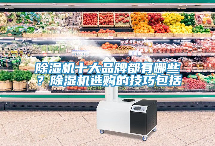 除濕機(jī)十大品牌都有哪些？除濕機(jī)選購(gòu)的技巧包括