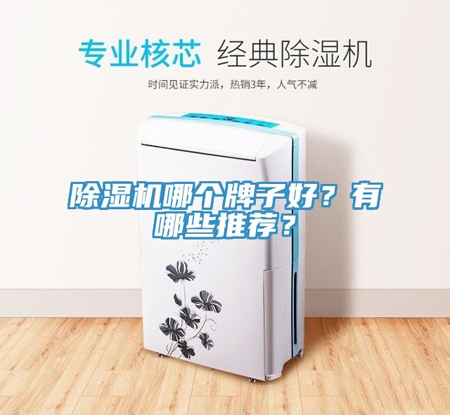 除濕機哪個牌子好？有哪些推薦？
