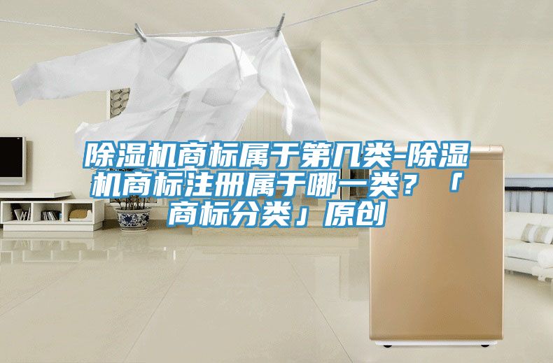 除濕機(jī)商標(biāo)屬于第幾類(lèi)-除濕機(jī)商標(biāo)注冊(cè)屬于哪一類(lèi)？「商標(biāo)分類(lèi)」原創(chuàng)