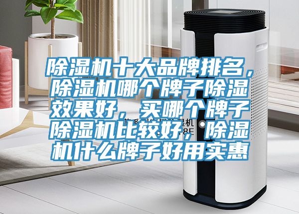 除濕機(jī)十大品牌排名，除濕機(jī)哪個牌子除濕效果好，買哪個牌子除濕機(jī)比較好，除濕機(jī)什么牌子好用實惠