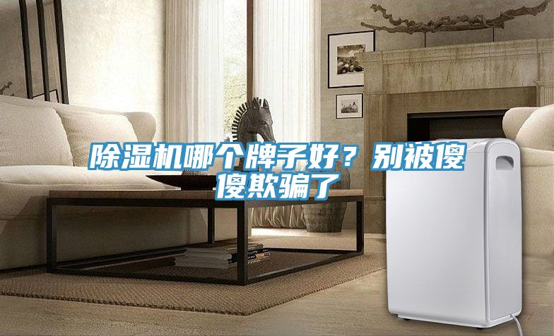 除濕機哪個牌子好？別被傻傻欺騙了
