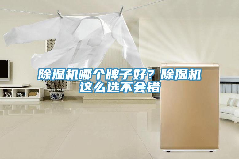 除濕機哪個牌子好？除濕機這么選不會錯