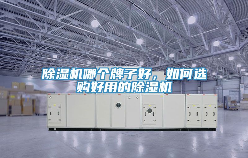 除濕機(jī)哪個(gè)牌子好，如何選購好用的除濕機(jī)