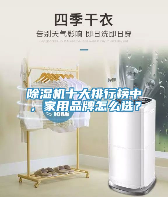 除濕機(jī)十大排行榜中，家用品牌怎么選？