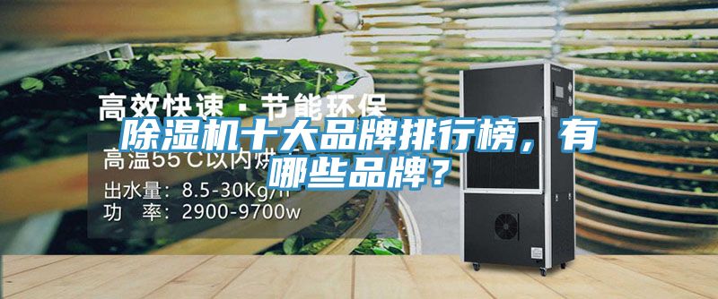 除濕機(jī)十大品牌排行榜，有哪些品牌？