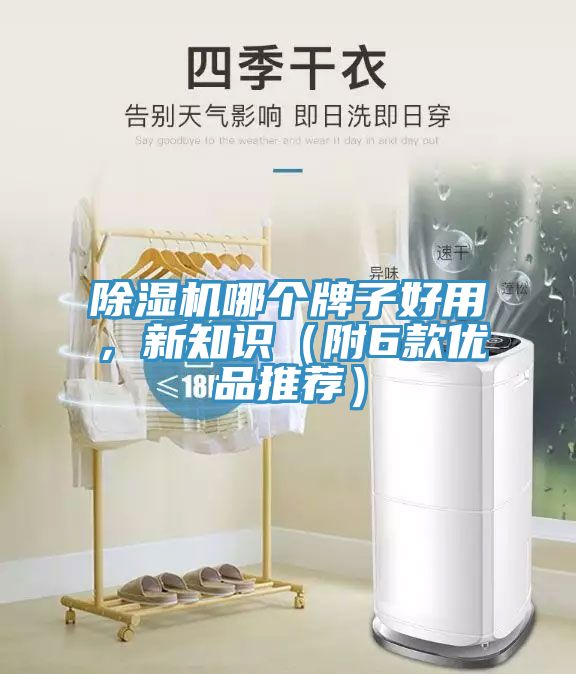 除濕機(jī)哪個(gè)牌子好用，新知識(shí)（附6款優(yōu)品推薦）