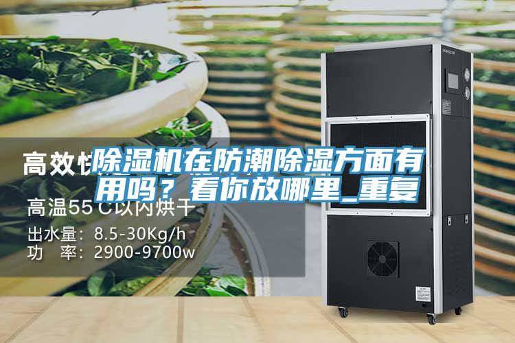 除濕機(jī)在防潮除濕方面有用嗎？看你放哪里_重復(fù)