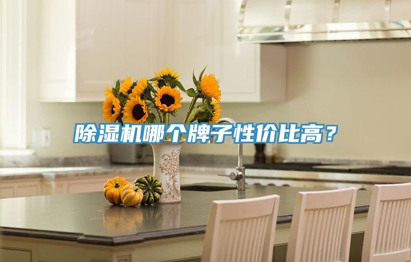 除濕機哪個牌子性價比高？