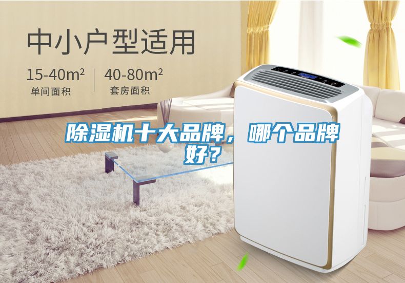 除濕機(jī)十大品牌，哪個(gè)品牌好？