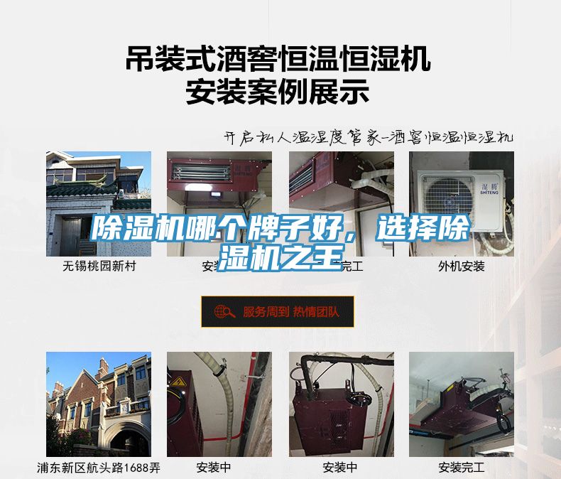 除濕機哪個牌子好，選擇除濕機之王