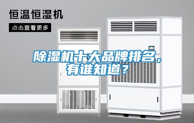 除濕機(jī)十大品牌排名，有誰知道？