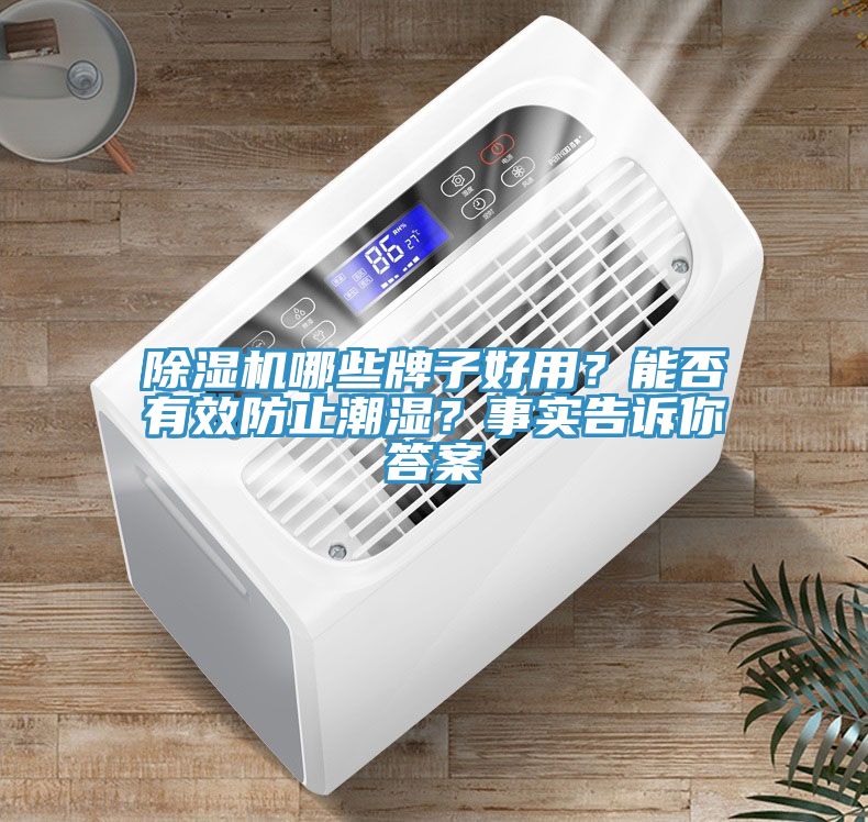 除濕機(jī)哪些牌子好用？能否有效防止潮濕？事實(shí)告訴你答案