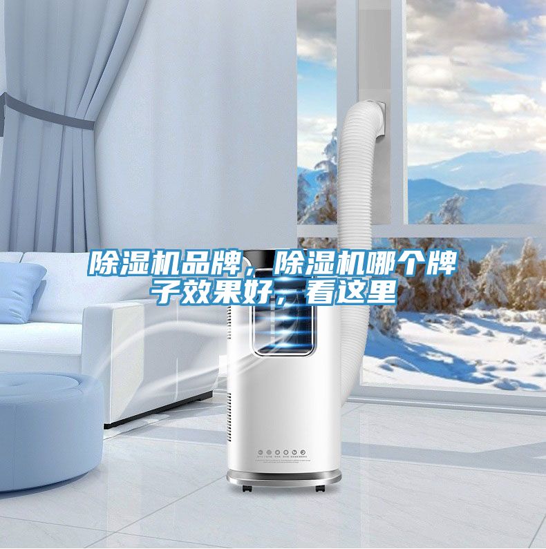 除濕機(jī)品牌，除濕機(jī)哪個牌子效果好，看這里