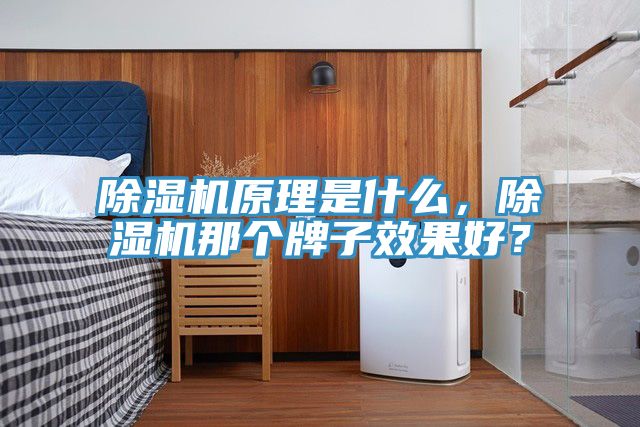 除濕機原理是什么，除濕機那個牌子效果好？