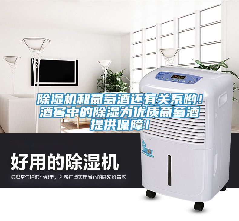 除濕機和葡萄酒還有關(guān)系喲！酒窖中的除濕為優(yōu)質(zhì)葡萄酒提供保障！