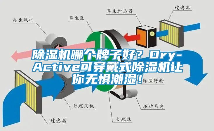 除濕機哪個牌子好？Dry-Active可穿戴式除濕機讓你無懼潮濕！