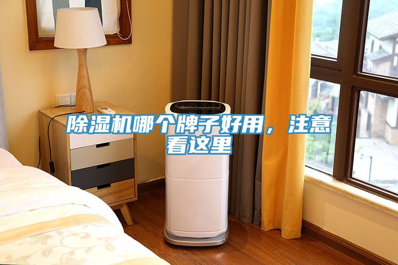 除濕機(jī)哪個(gè)牌子好用，注意看這里