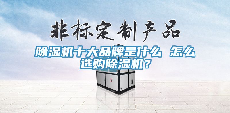 除濕機(jī)十大品牌是什么 怎么選購(gòu)除濕機(jī)？