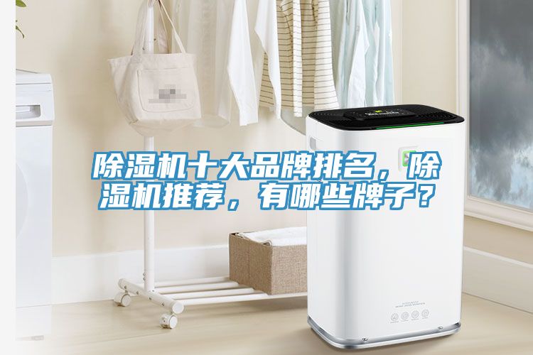除濕機(jī)十大品牌排名，除濕機(jī)推薦，有哪些牌子？