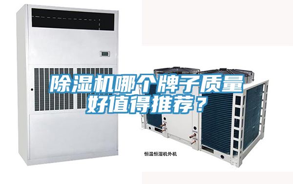 除濕機(jī)哪個牌子質(zhì)量好值得推薦？