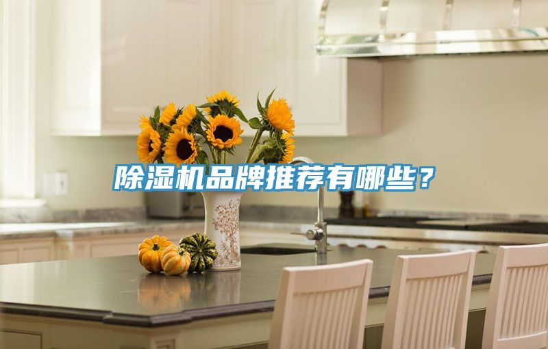 除濕機(jī)品牌推薦有哪些？