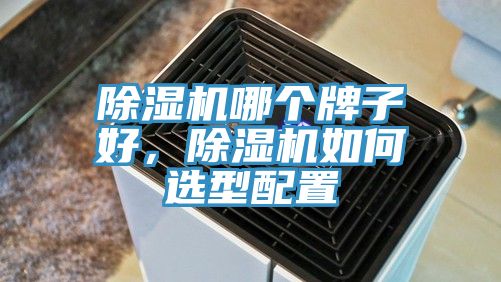 除濕機哪個牌子好，除濕機如何選型配置