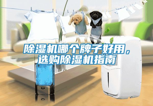 除濕機(jī)哪個(gè)牌子好用，選購(gòu)除濕機(jī)指南