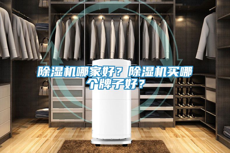 除濕機哪家好？除濕機買哪個牌子好？