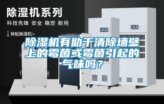 除濕機(jī)有助于清除墻壁上的霉菌或霉菌引起的氣味嗎？