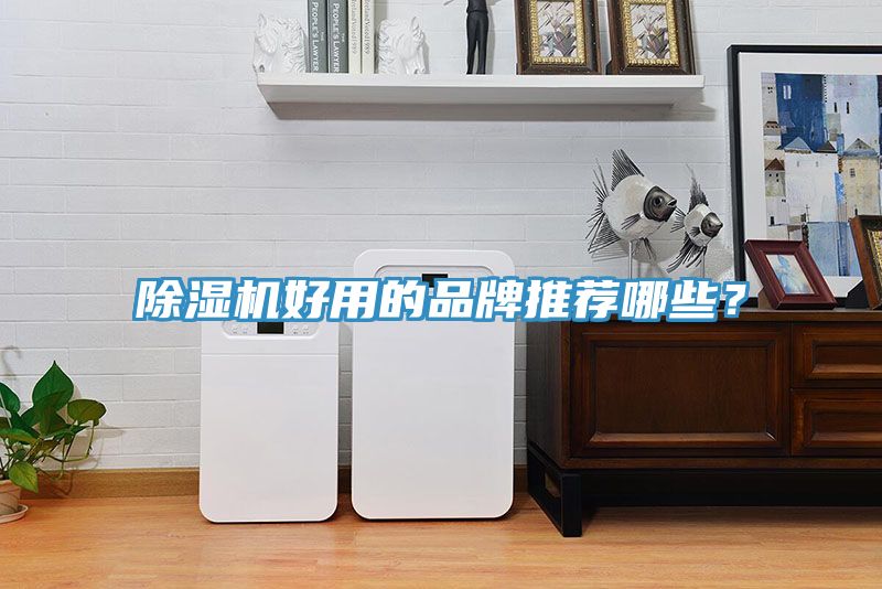 除濕機(jī)好用的品牌推薦哪些？