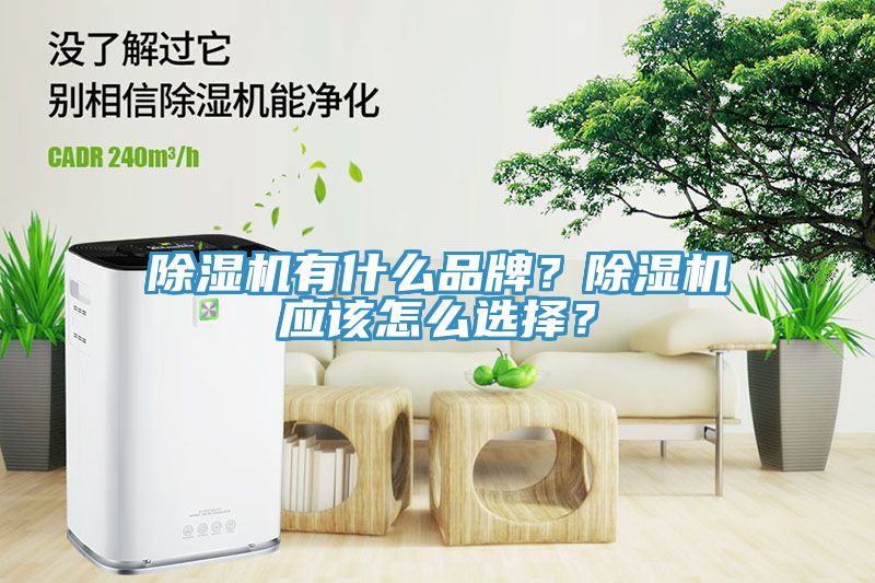 除濕機有什么品牌？除濕機應(yīng)該怎么選擇？