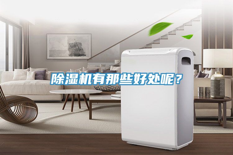 除濕機(jī)有那些好處呢？
