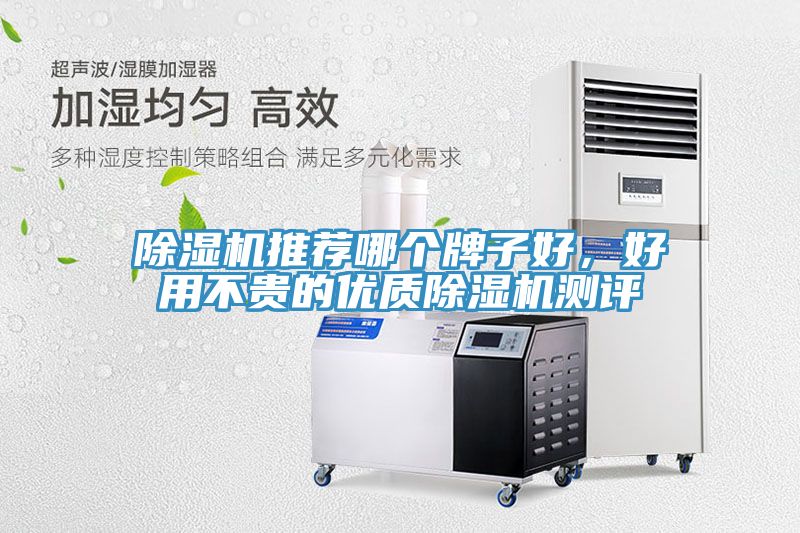 除濕機推薦哪個牌子好，好用不貴的優(yōu)質除濕機測評