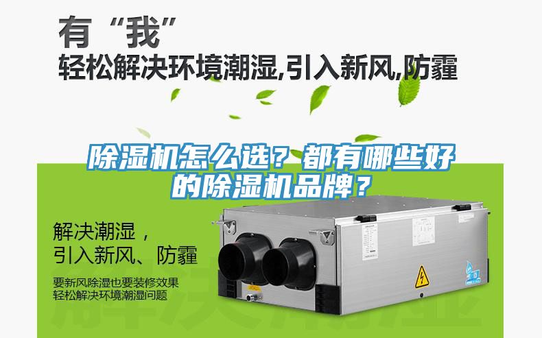 除濕機(jī)怎么選？都有哪些好的除濕機(jī)品牌？