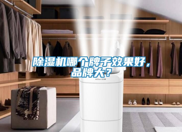 除濕機(jī)哪個(gè)牌子效果好，品牌大？