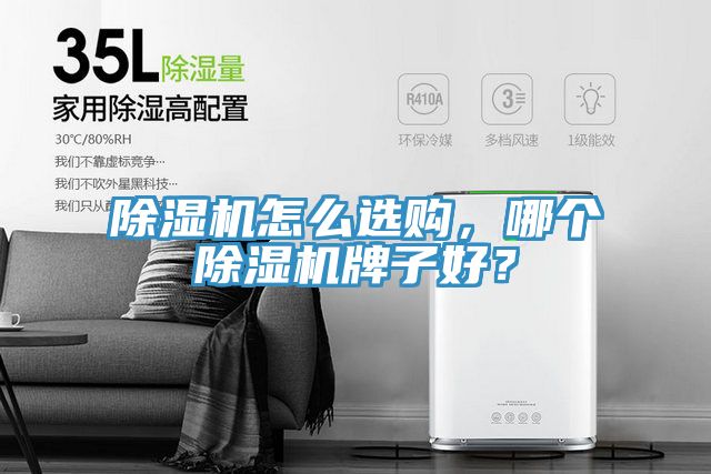 除濕機(jī)怎么選購(gòu)，哪個(gè)除濕機(jī)牌子好？