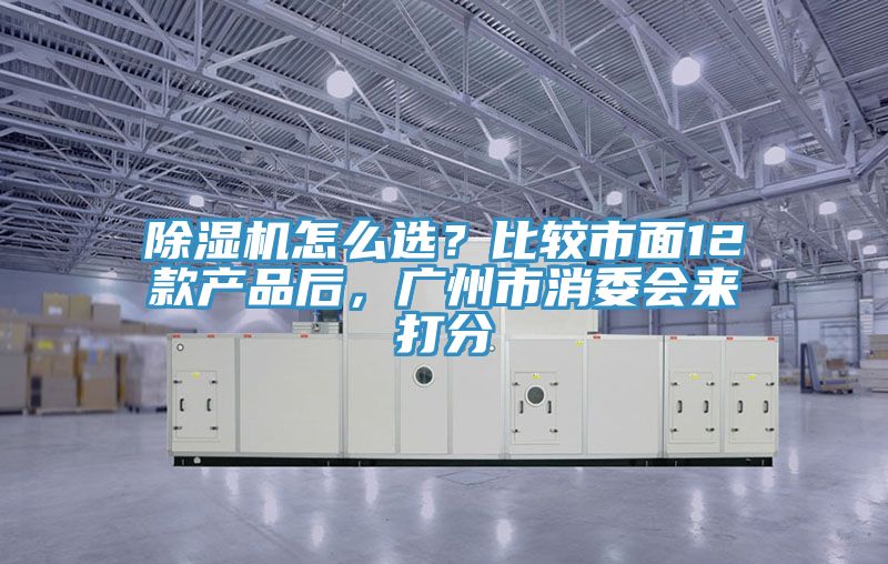 除濕機(jī)怎么選？比較市面12款產(chǎn)品后，廣州市消委會(huì)來打分
