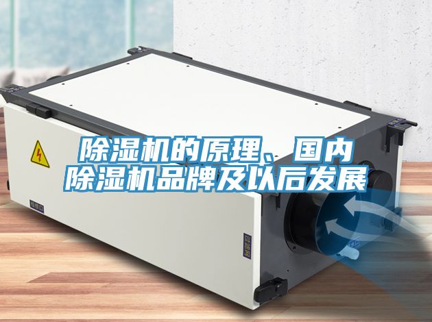 除濕機的原理、國內(nèi)除濕機品牌及以后發(fā)展